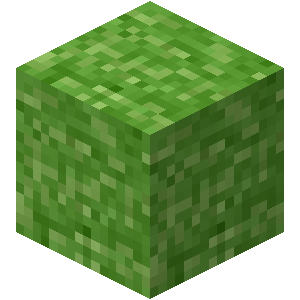 Grass Plan